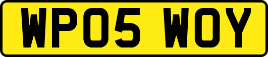 WP05WOY