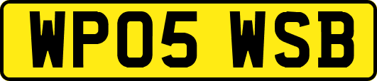 WP05WSB