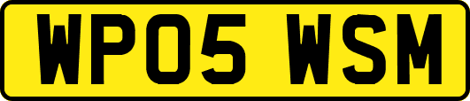 WP05WSM