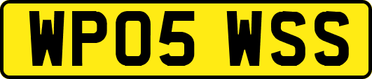 WP05WSS