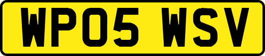 WP05WSV
