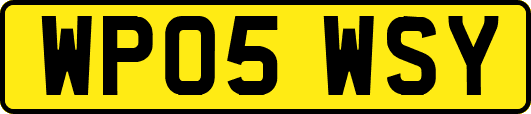 WP05WSY