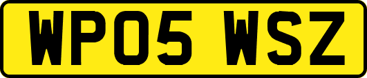 WP05WSZ