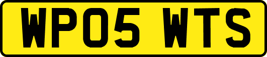 WP05WTS