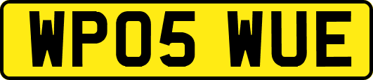 WP05WUE