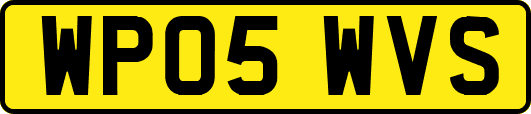 WP05WVS