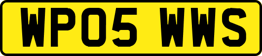 WP05WWS