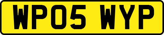 WP05WYP