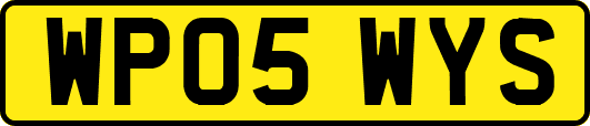WP05WYS