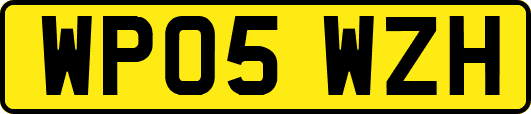 WP05WZH