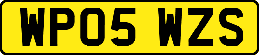 WP05WZS