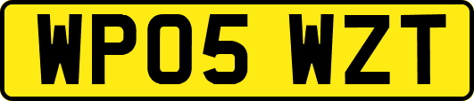 WP05WZT