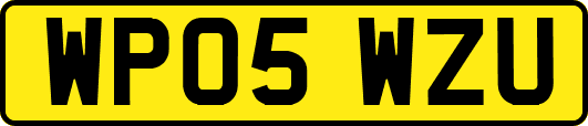 WP05WZU