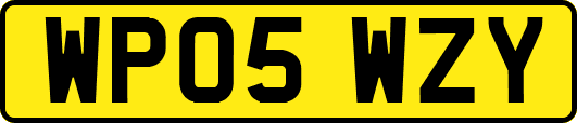 WP05WZY