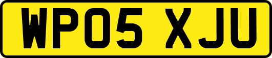 WP05XJU