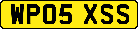 WP05XSS