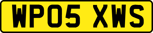 WP05XWS