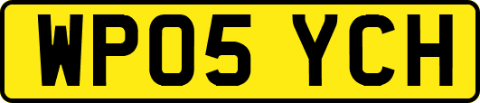 WP05YCH
