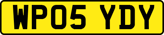 WP05YDY