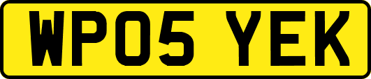 WP05YEK