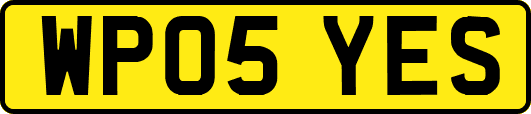 WP05YES
