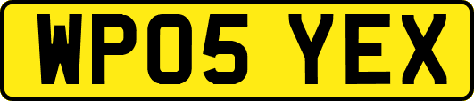 WP05YEX