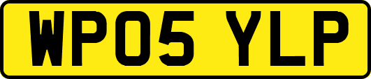 WP05YLP