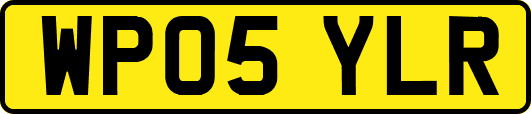 WP05YLR