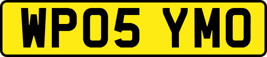 WP05YMO