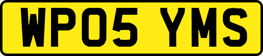 WP05YMS