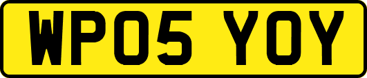 WP05YOY