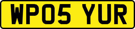 WP05YUR