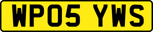 WP05YWS