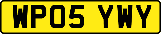 WP05YWY