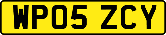 WP05ZCY
