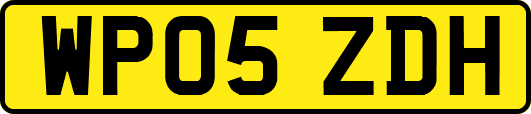 WP05ZDH