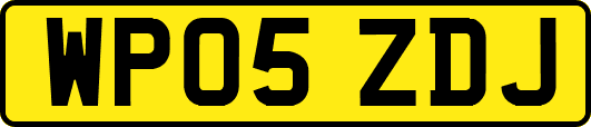 WP05ZDJ