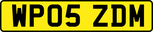 WP05ZDM