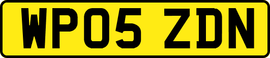 WP05ZDN