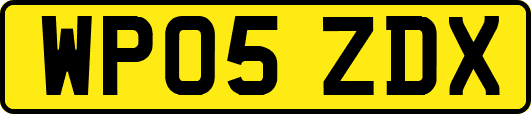 WP05ZDX