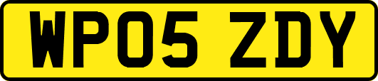 WP05ZDY
