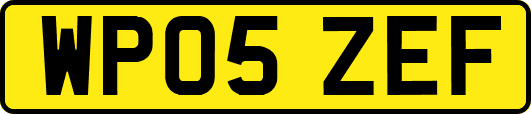 WP05ZEF