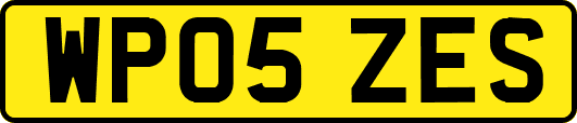 WP05ZES