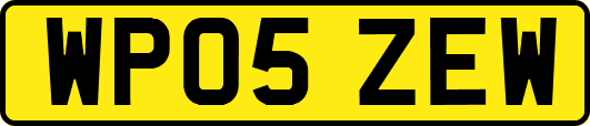 WP05ZEW