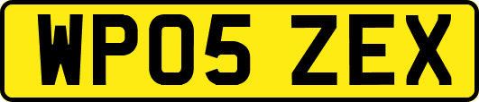 WP05ZEX