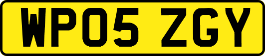 WP05ZGY
