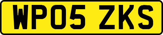 WP05ZKS
