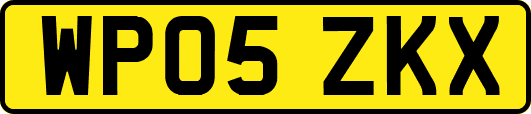 WP05ZKX