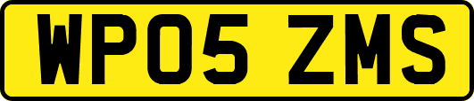 WP05ZMS