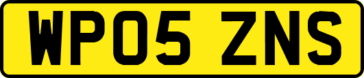 WP05ZNS